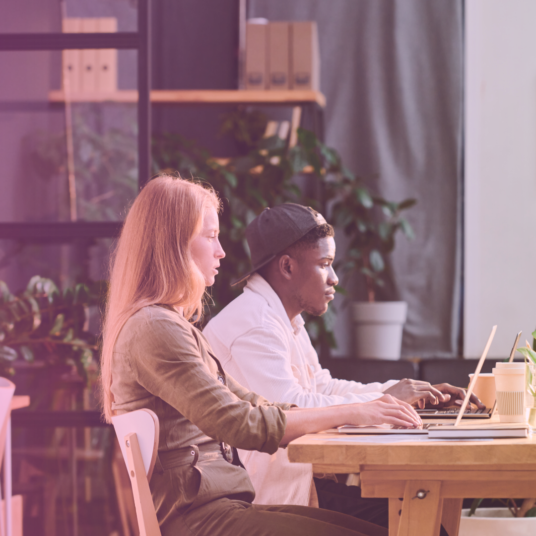 TJM consultant junior