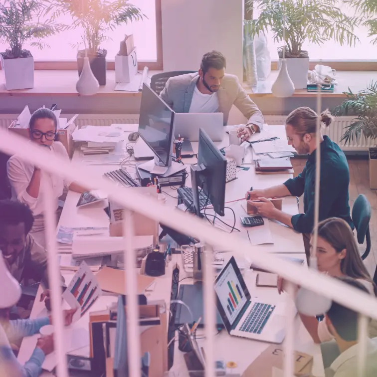 illustration avec freelance SEA